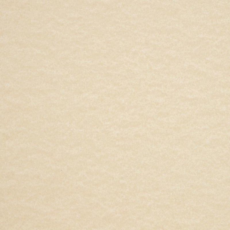 LUXPaper 8.5" x 11" Cardstock | Letter Size | Cream Parchment | 65lb. Cover (120lb. Text) | 250 Qty - Image 4